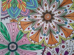 whatsapp image 2025-12-26 at 11.24.33